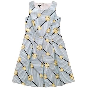 Talbots Dress Floral Stripe Fit Flare Sleeveless Lined Pockets Size 10P